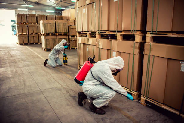 Best Pest Inspection Near Me  in Johns Creek, GA