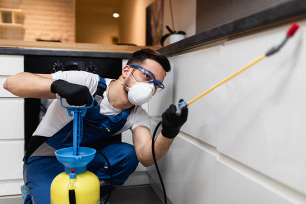Best Mosquito Control Services  in Johns Creek, GA