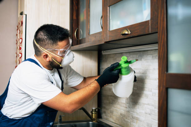 Best Emergency Pest Control  in Johns Creek, GA
