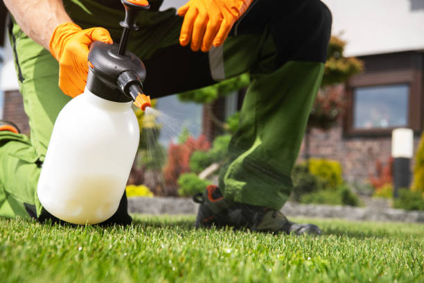 Best Commercial Pest Control Services  in Johns Creek, GA
