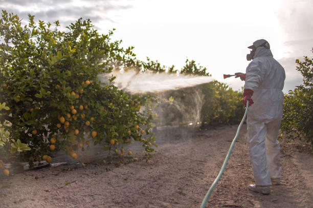 Best Best Pest Control Companies  in Johns Creek, GA
