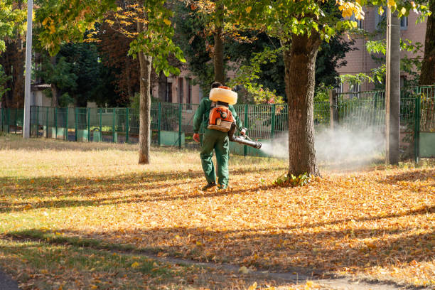 Best Local Pest Control Services  in Johns Creek, GA