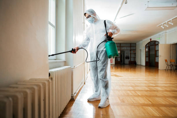 Best Termite Control Services  in Johns Creek, GA