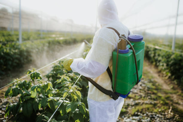 Best Wasp Removal Services  in Johns Creek, GA